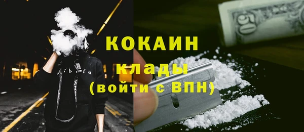 дурь Богородицк