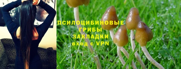 гашишное масло Богородск