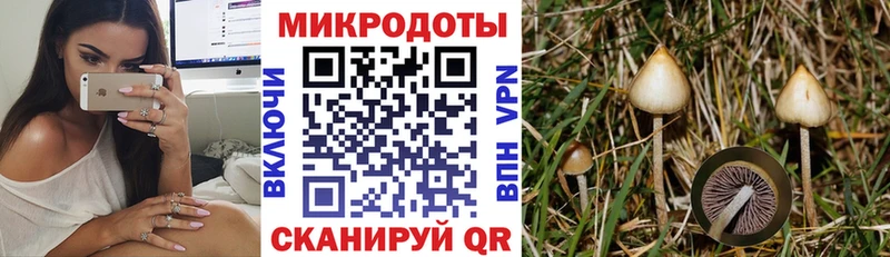 Купить закладки  Тырныауз  Галлюциногенные грибы мицелий 